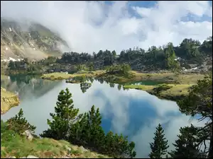 Jezioro, Mgła, Góry, Drzewa
