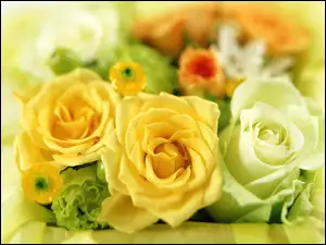 Żółte, Róże, Białe