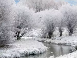 Zima, Szron, Rzeka, Drzewa