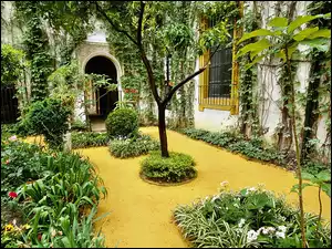 Ogród, Dom, Patio