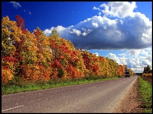 Droga, Jesień, Drzewa, Chmury