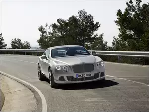 Maska, Bentley Continental GT, Profilowana