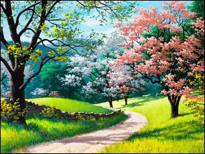 Droga, Wiosna, Kwitnące, Drzewa