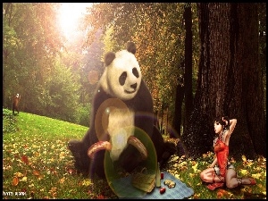 Ling Xiaoyu, Tekken Tag Tournament 2, Panda