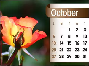 Kalendarz, 2013r, Róże, Październik