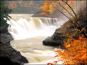 Liście, Jesień, Wodospad