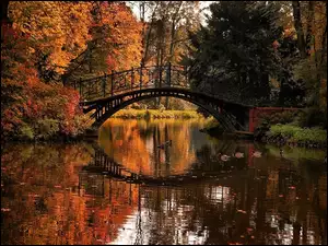 Jesień, Most, Rzeka, Kaczki