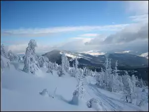Góry, Zima, Drzewa, Śnieg