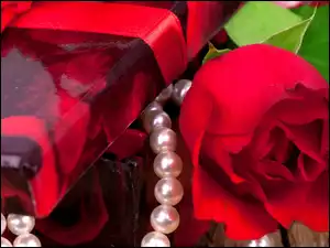 Perły, Czerwona, Róża