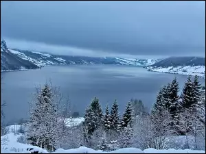 Norwegia, Zima Jezioro, Drzewa, Góry, Jolstravatnet