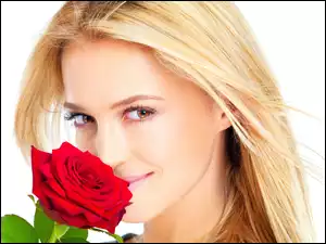 Róża, Piękna, Blondynka