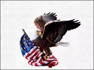 Amerykańska, Bielik amerykański, Flaga
