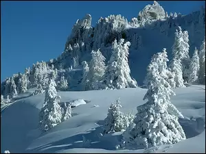 Góry, Niebo, Drzewa, Śnieg