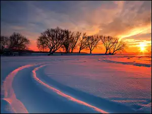 Zachód, Drzewa, Słońca, Śnieg