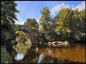 Rzeka, Jesień, Most, Drzewa