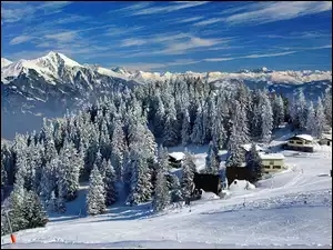 Góry, Szwajcaria, Las, Domy