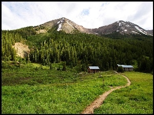 Ścieżka, Góry, Lasy