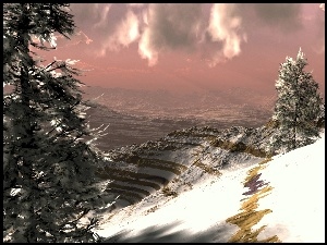 Zima, Góry, Drzewa
