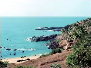 Morze, Indie, Roślinność, Goa