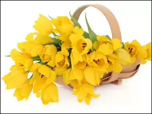 Koszyk, Tulipany, Żółte