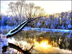 Śnieg, Drzewa, Jezioro