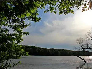Niebo, Jezioro, Drzewa