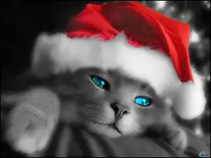 Boże Narodzenie, kociaczek