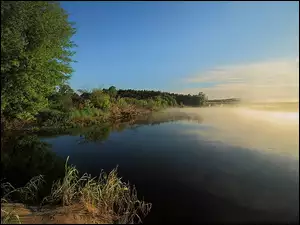 Las, Jezioro, Mgła