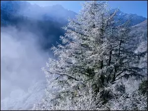 Góry, Zima, Drzewa, Chmury