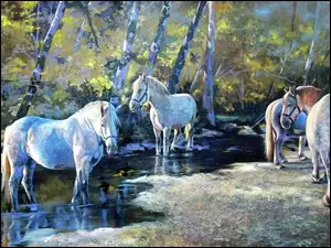 Konie, Obraz, Rzeka, Las