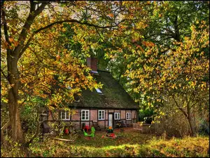 Jesień, Drzewa, Dom, Ogród