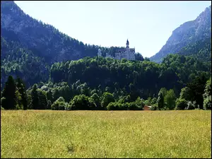 Góry, Zamek, Łąka, Neuschwanstein, Zalesione