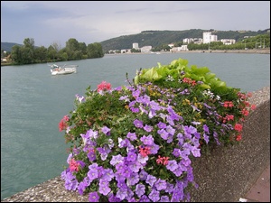Francja, Rzeka, Kwiaty, Vienne, Panorama
