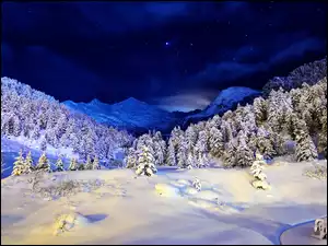 Góry, Noc, Las, Śnieg