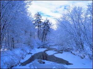 Zima, Drzewa, Rzeka, Ośnieżone