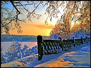 Zachód, Drzewa, Słońca, Śnieg