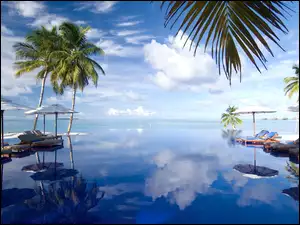 Morze, Malediwy, Parasole, Palmy