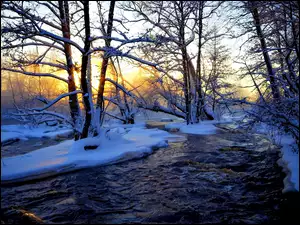 Drzewa, Rzeka, Zachód Słońca, Śnieg