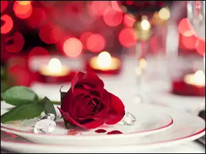 Walentynki, Kolacja, Róża, Romantyczna