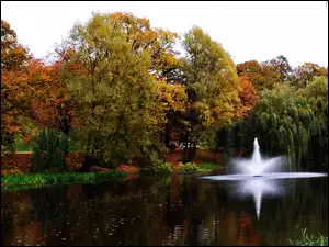 Fontanna, Park, Kolorowe, Jesienią, Drzewa