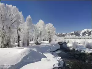 Rzeka, Zima, Góry, Drzewa