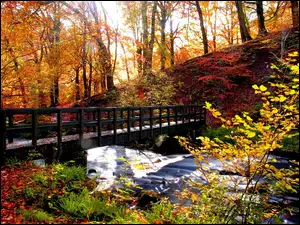 Rzeka, Jesień, Most, Drzewa