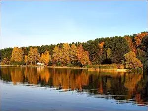 Niebo, Jezioro, Drzewa, Jesień, Liście