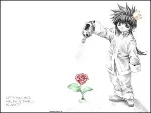 Saiyuki, kwiat, osoba, konewka