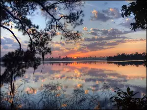 Zachód Słońca, Jezioro, Gałęzie