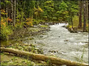 Rzeka, Jesień, Wodospad, Drzewa