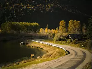Droga, Jesień, Rzeka, Las