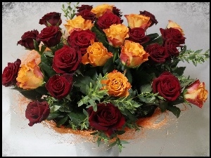 Róż, Bukiet, Kolorowych