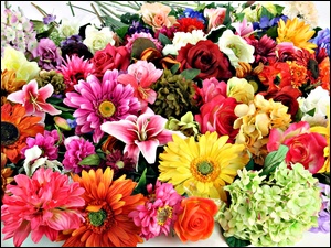 Gerbery, Hiacynty, Bukiet, Lilie, Kwiatów, Róże