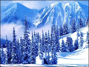 Zima, Drzewa, Góry, Ośnieżone
